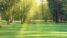 E C Nurre Funeral Homes Inc